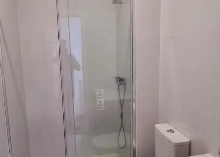 Owls Ribeiro * Porto