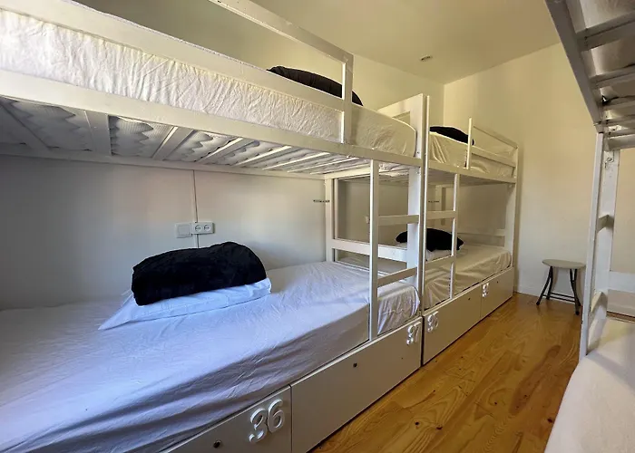 Owls Ribeiro * Porto