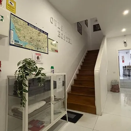 Owls Ribeiro Casa de hóspedes