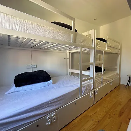 Owls Ribeiro * Porto