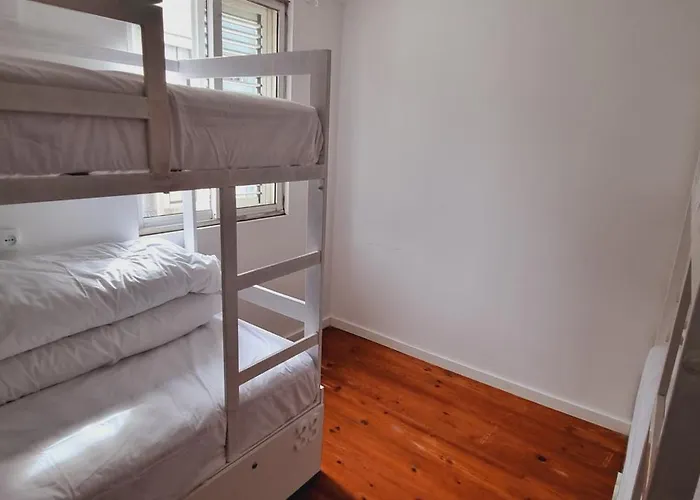 Owls Ribeiro * Oporto